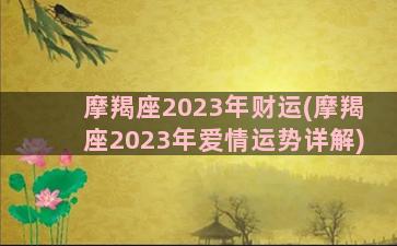 摩羯座2023年财运(摩羯座2023年爱情运势详解)