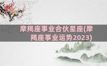 摩羯座事业合伙星座(摩羯座事业运势2023)