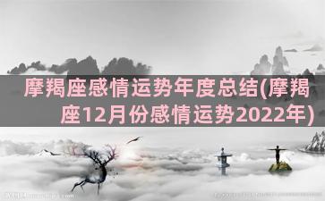 摩羯座感情运势年度总结(摩羯座12月份感情运势2022年)