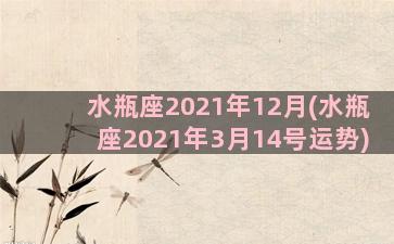 水瓶座2021年12月(水瓶座2021年3月14号运势)