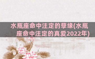 水瓶座命中注定的孽缘(水瓶座命中注定的真爱2022年)