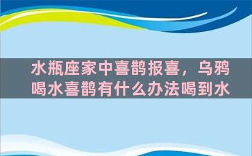 水瓶座家中喜鹊报喜，乌鸦喝水喜鹊有什么办法喝到水