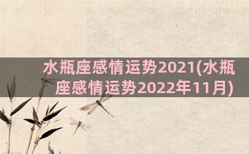 水瓶座感情运势2021(水瓶座感情运势2022年11月)