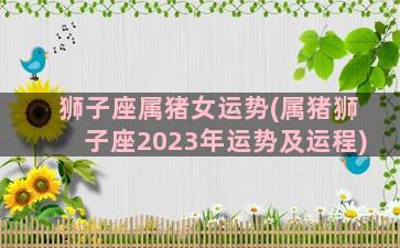 狮子座属猪女运势(属猪狮子座2023年运势及运程)