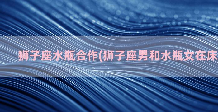 狮子座水瓶合作(狮子座男和水瓶女在床上怎么样)