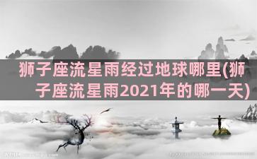 狮子座流星雨经过地球哪里(狮子座流星雨2021年的哪一天)