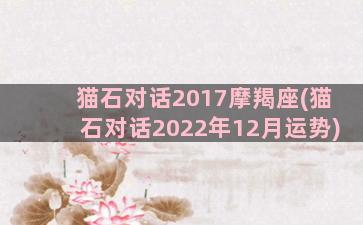 猫石对话2017摩羯座(猫石对话2022年12月运势)