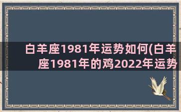 白羊座1981年运势如何(白羊座1981年的鸡2022年运势)