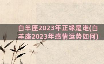 白羊座2023年正缘是谁(白羊座2023年感情运势如何)