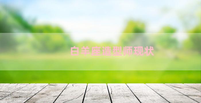 白羊座造型师现状