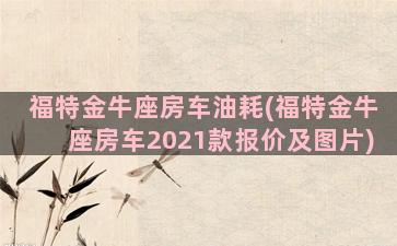 福特金牛座房车油耗(福特金牛座房车2021款报价及图片)