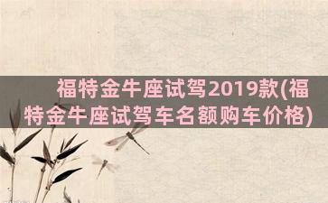 福特金牛座试驾2019款(福特金牛座试驾车名额购车价格)