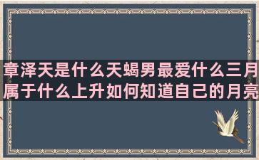 章泽天是什么天蝎男最爱什么三月属于什么上升如何知道自己的月亮安倍晋三最会撩汉的十二星座谁的命运最好(章泽天ins账号是什么)