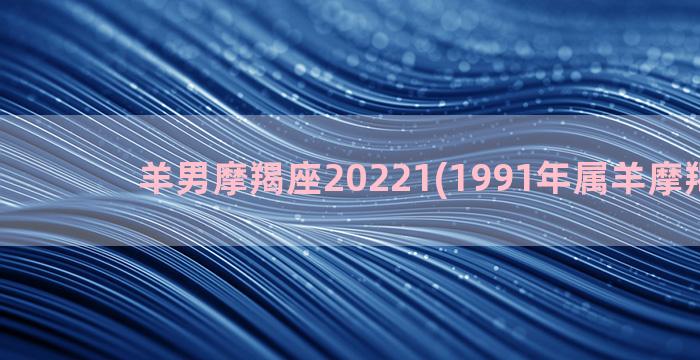 羊男摩羯座20221(1991年属羊摩羯座男)