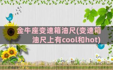 金牛座变速箱油尺(变速箱油尺上有cool和hot)