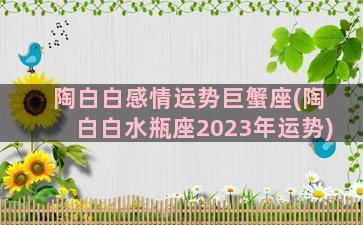 陶白白感情运势巨蟹座(陶白白水瓶座2023年运势)