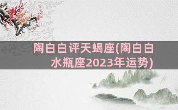 陶白白评天蝎座(陶白白水瓶座2023年运势)