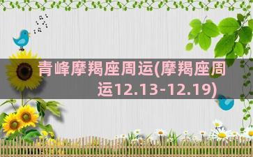 青峰摩羯座周运(摩羯座周运12.13-12.19)